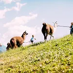 Hotel Pitzis - Family Only Arzl im Pitztal