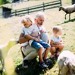 Pitzis - Family Only Hotel