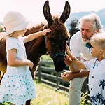Pitzis - Family Only 4*