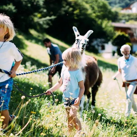 Hotell Pitzis - Family Only