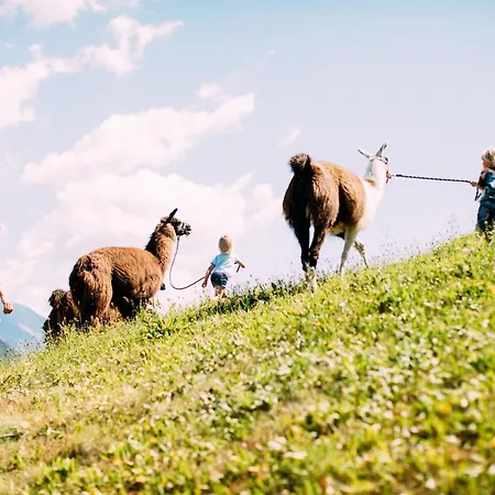 Hotel Pitzis - Family Only Arzl im Pitztal