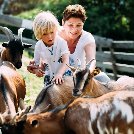 Hotell Pitzis - Family Only