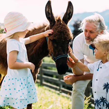 Pitzis - Family Only 4*