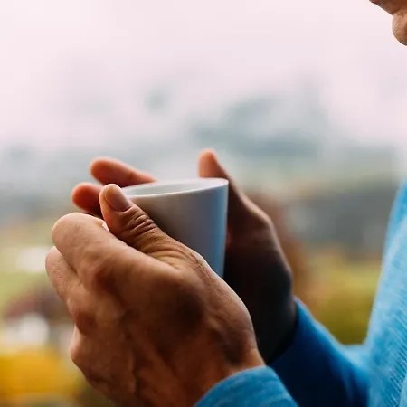 Pitzis - Family Only