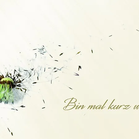 호텔 Pitzis - Family Only 4*