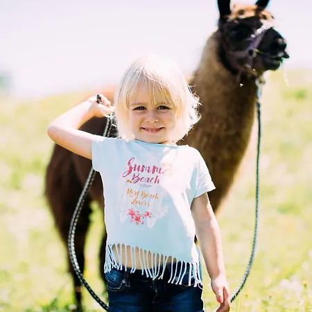 호텔 Pitzis - Family Only 4*