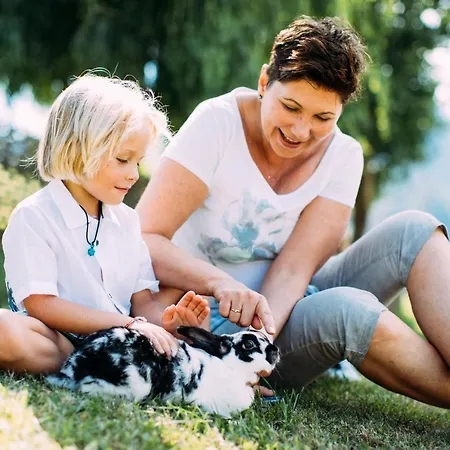 Pitzis - Family Only 알즈임피츠탈