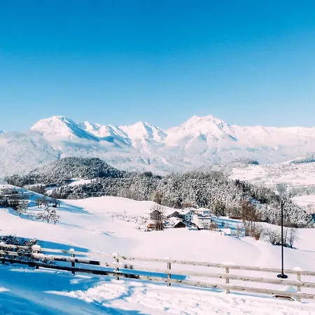 Pitzis - Family Only 호텔